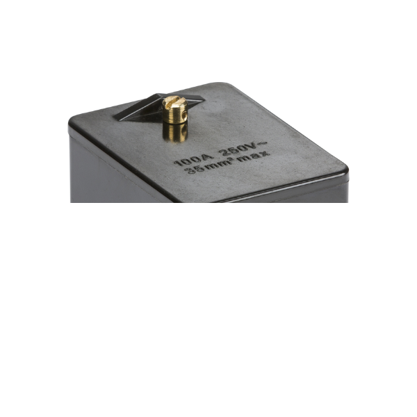 100A 1 x 5-Way (Single Pole) Service Connector Block - Brass Terminals SNEB1 image 0