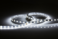 24V IP20 LED Flex Daylight 6000K (3 metres) - LFC24DL3M image 0