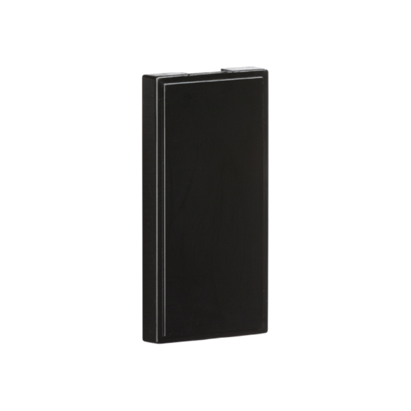 Half Blank - Black - IN001 image 0