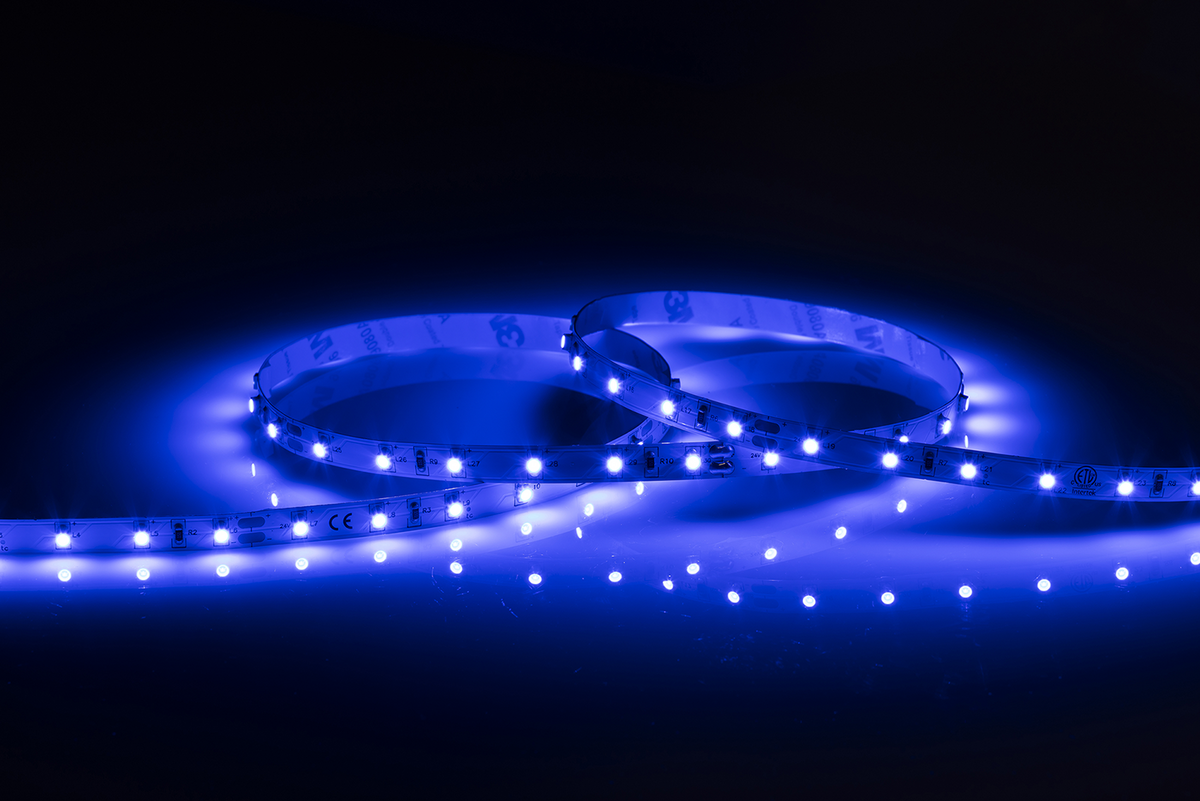 24V IP20 LED Flex Blue (3 metres) - LFL24B3M image 0