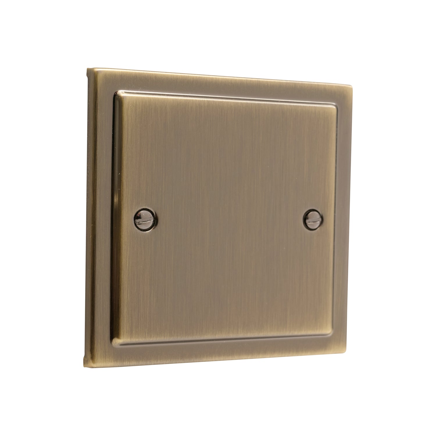 Regency Antique Brass Single Blanking Plate R49AB