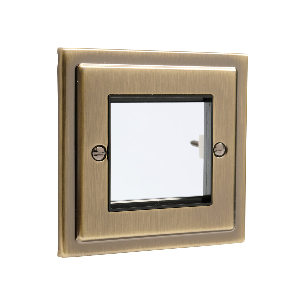 Regency Antique Brass 1 Gang 2 Data Modules Plate - R63AB