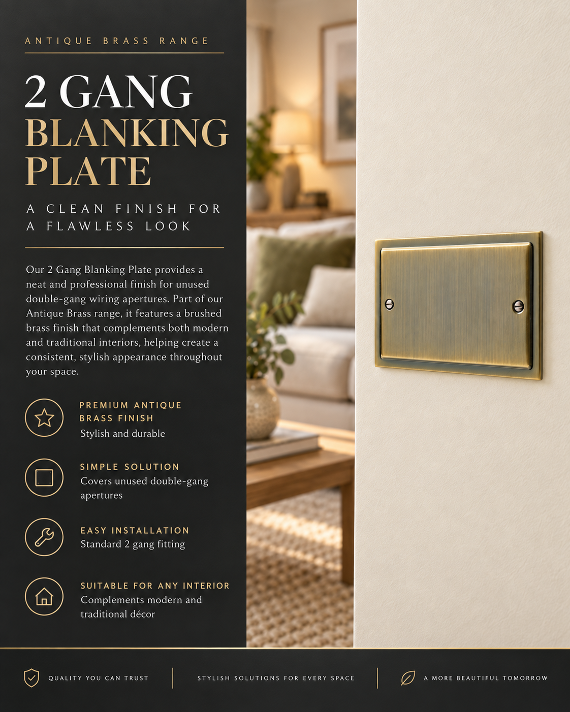 Regency Antique Brass Double Blanking Plate R50AB