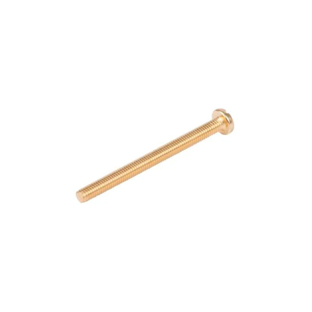Electrical Screws Polished Brass 50mm x 2 - IN105