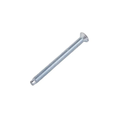 Electrical Screws Polished Chrome 50mm  x 2 - IN103