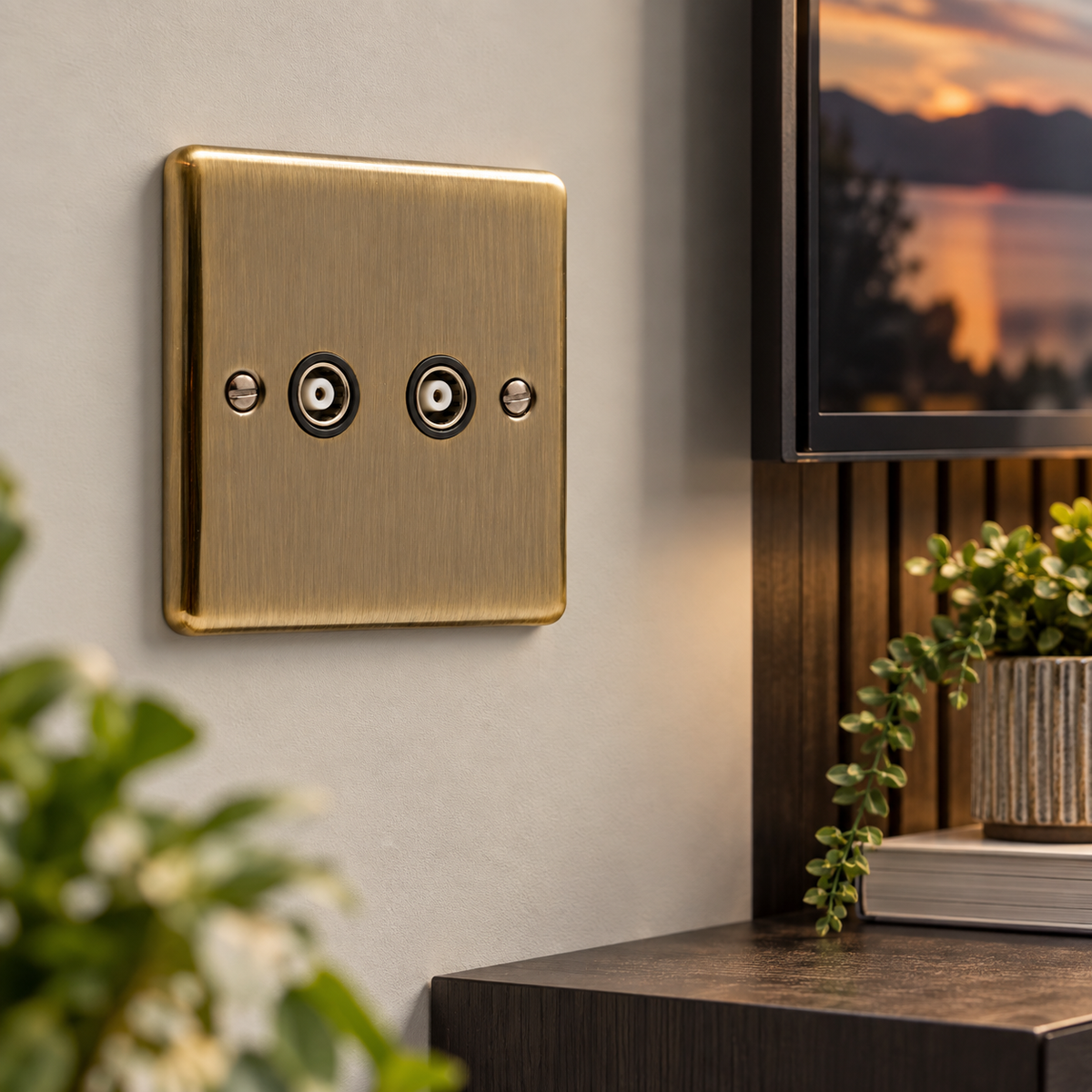 Windsor Antique Brass 2 Gang TV Coaxial Outlet - W43AB