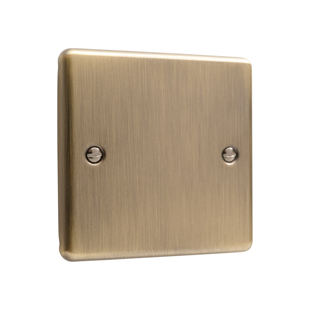 Windsor Antique Brass Single Blanking Plate - W49AB