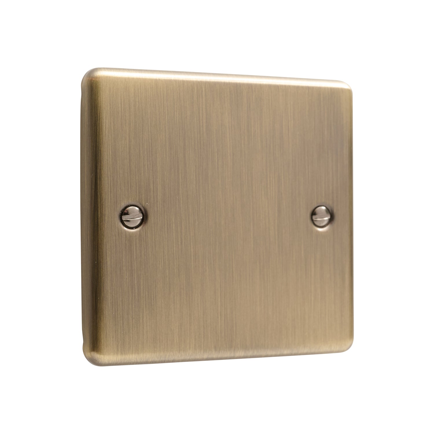 Windsor Antique Brass Single Blanking Plate - W49AB