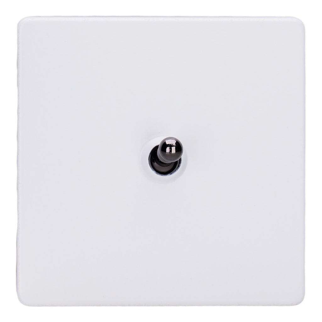 Varilight Primed 1-Gang 10A 1- or 2-Way Toggle Switch with Iridium Toggle - XDYT1IS.PD image 0