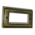 Antique Brass 2 Gang 4 Data Modules Plate - R64AB image 0
